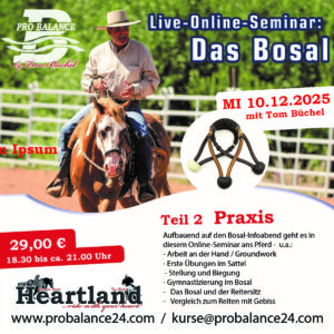 Hier klicken für Inhalt: Bosal 2 – Praxisarbeit