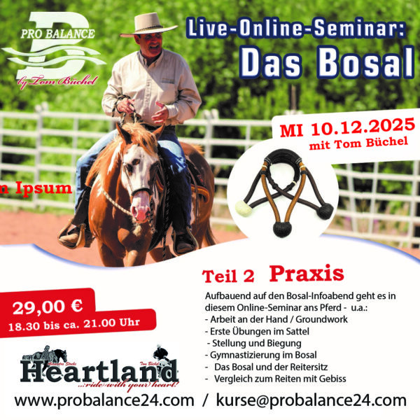 Hier klicken für Inhalt: Bosal 2 – Praxisarbeit