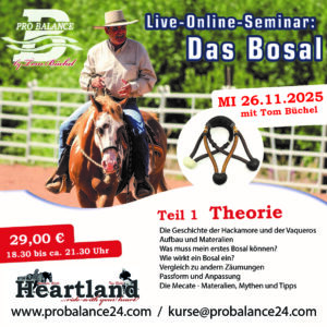 Hier klicken für Inhalt: Bosal 1 – Theorie & History