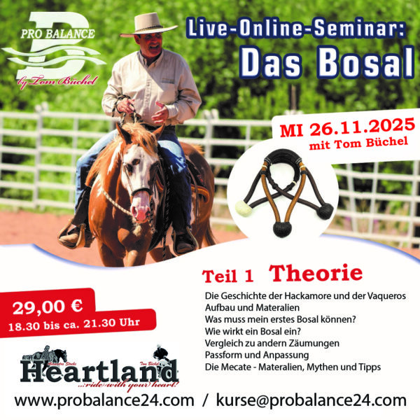 Hier klicken für Inhalt: Bosal 1 – Theorie & History