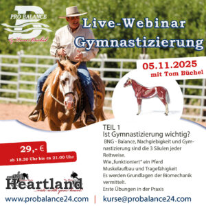 Hier klicken für Inhalt: Gymnastizierung Teil 1