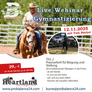 Hier klicken für Inhalt: Gymnastizierung Teil 2
