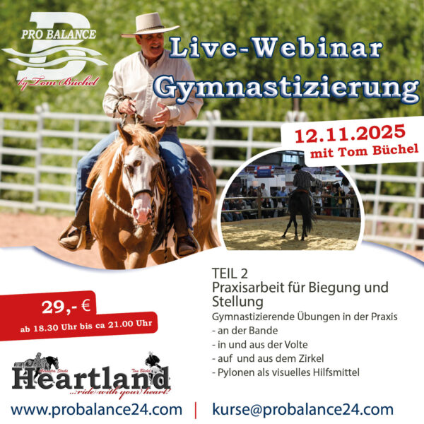 Hier klicken für Inhalt: Gymnastizierung Teil 2